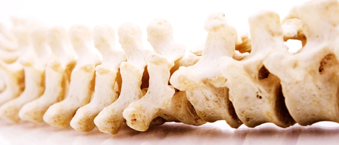 What Are The Educational Requirements For A Chiropractor?